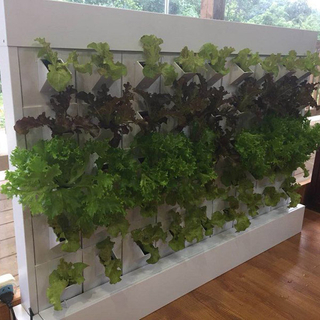 Hydroponic vertical wall outdoor system