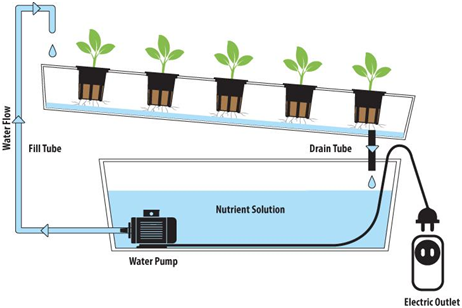 NFT horizontal system - Buy NFT horizontal system Product on Dongxin ...